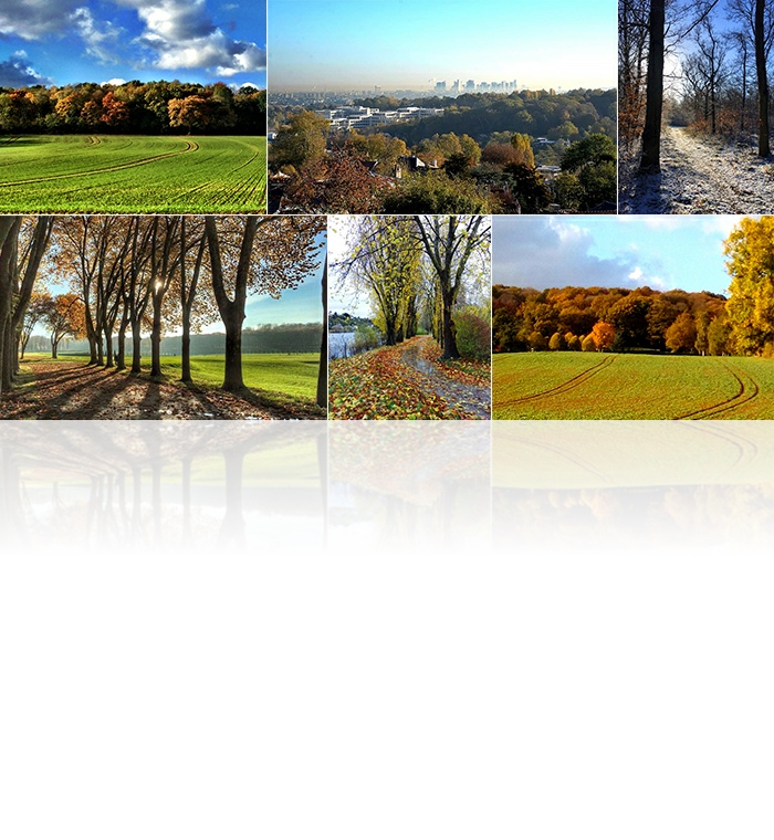 Cross-training et Marche nordique Marly-le-roi