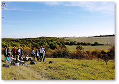 Marche nordique sportive Feucherolles
