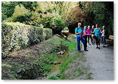 Marche nordique Fourqueux Chambourcy