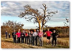 Marche nordique parc de Versailles