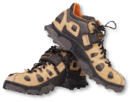 Chaussures Marche nordique