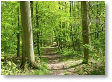 Un réseau de sentiers extraordinaire