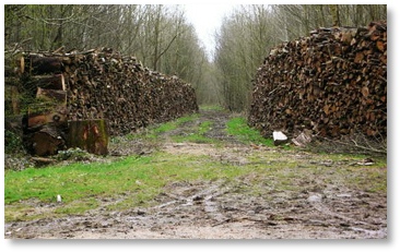 Marche nordique / Yvelines / Itinéraires